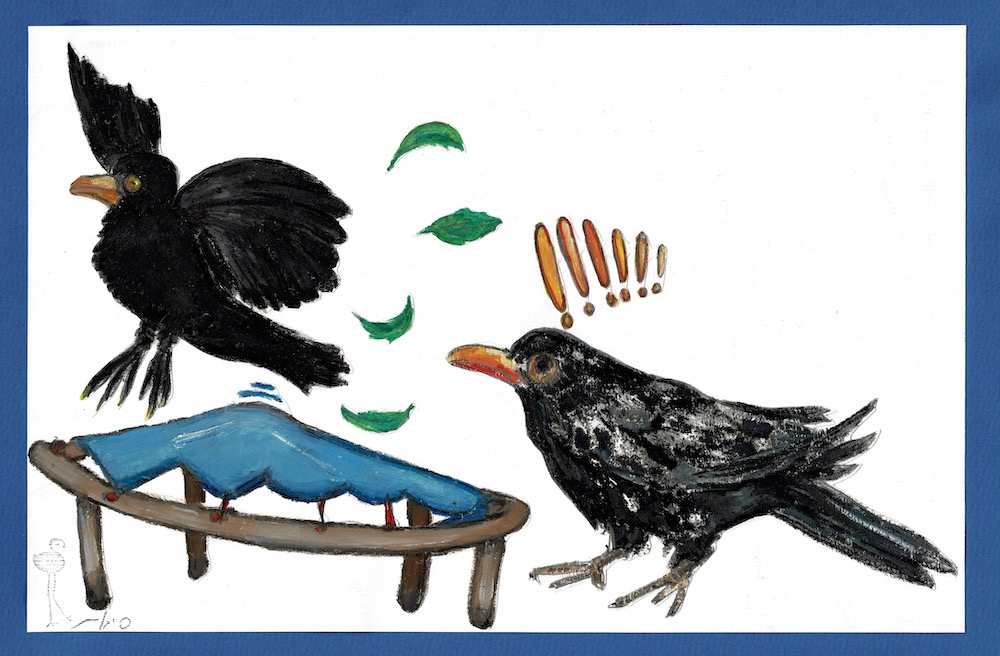 Blackbird • שחרור