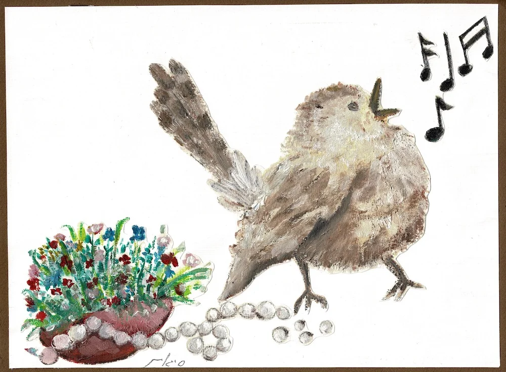 Graceful Prinia • פשוש