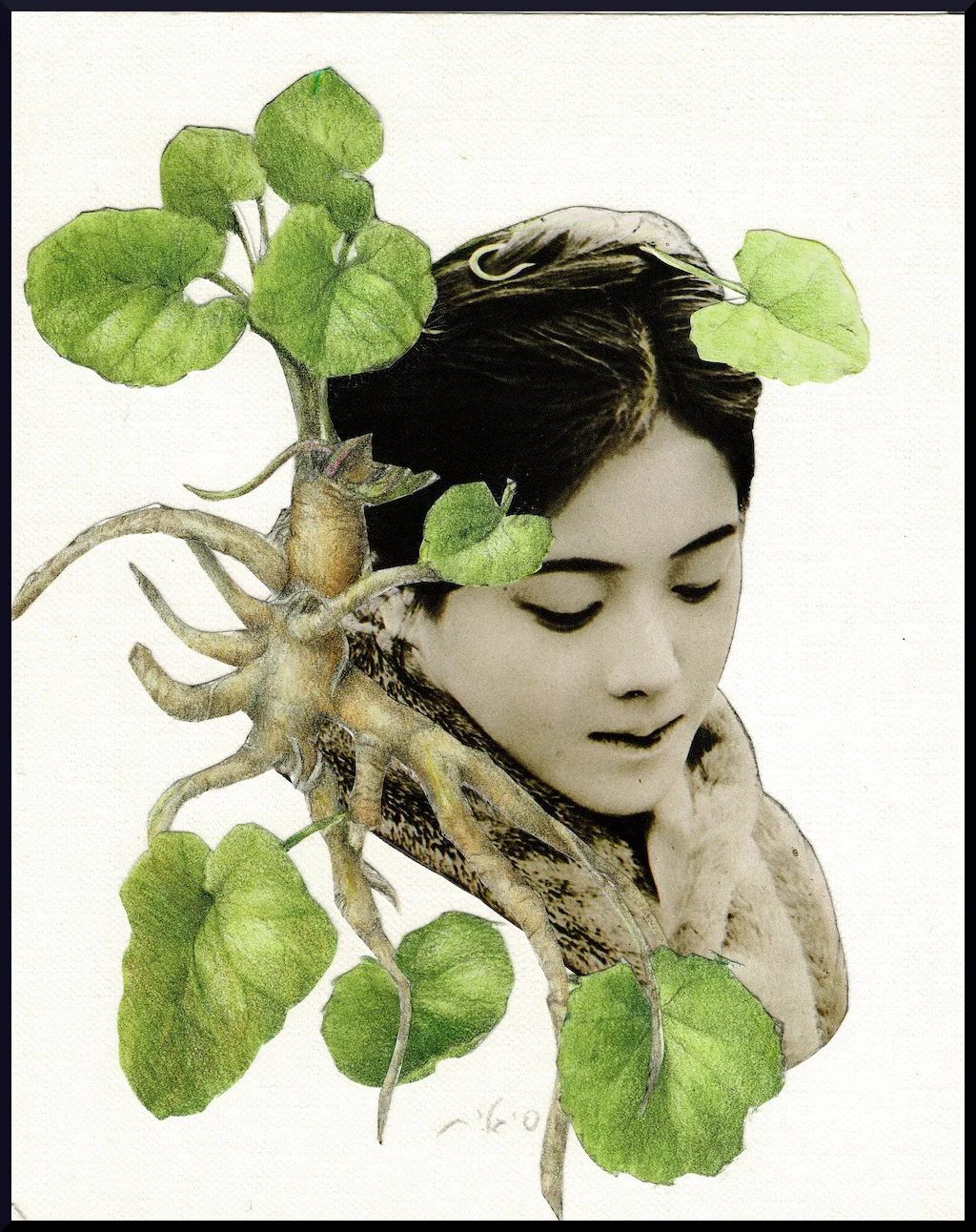 Kazumi • 和美 • Harmony & Beauty