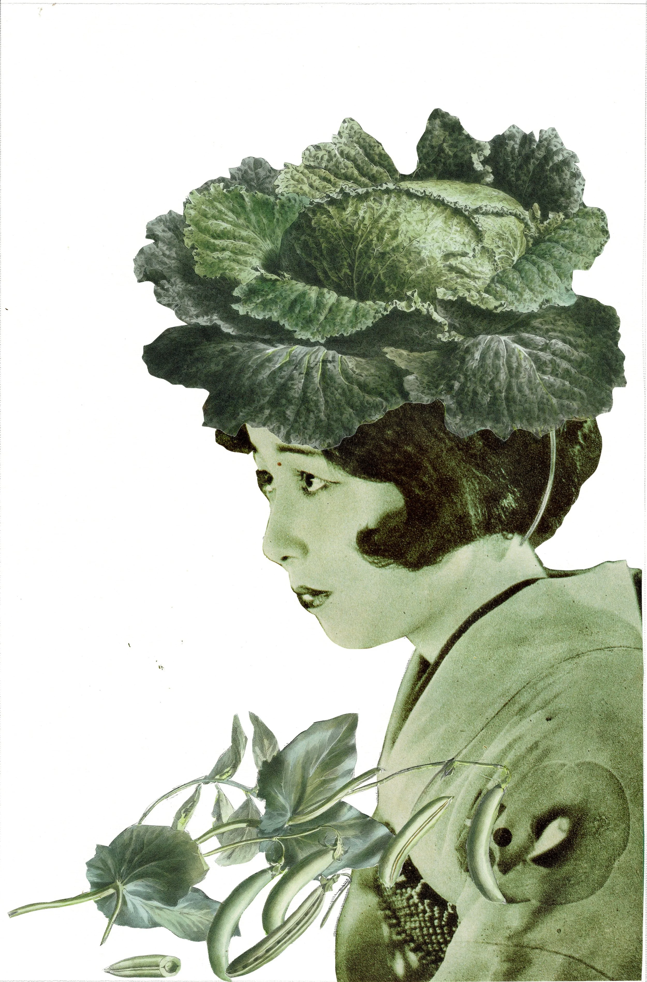 Midori • 緑 + Mat (W32 X H44)