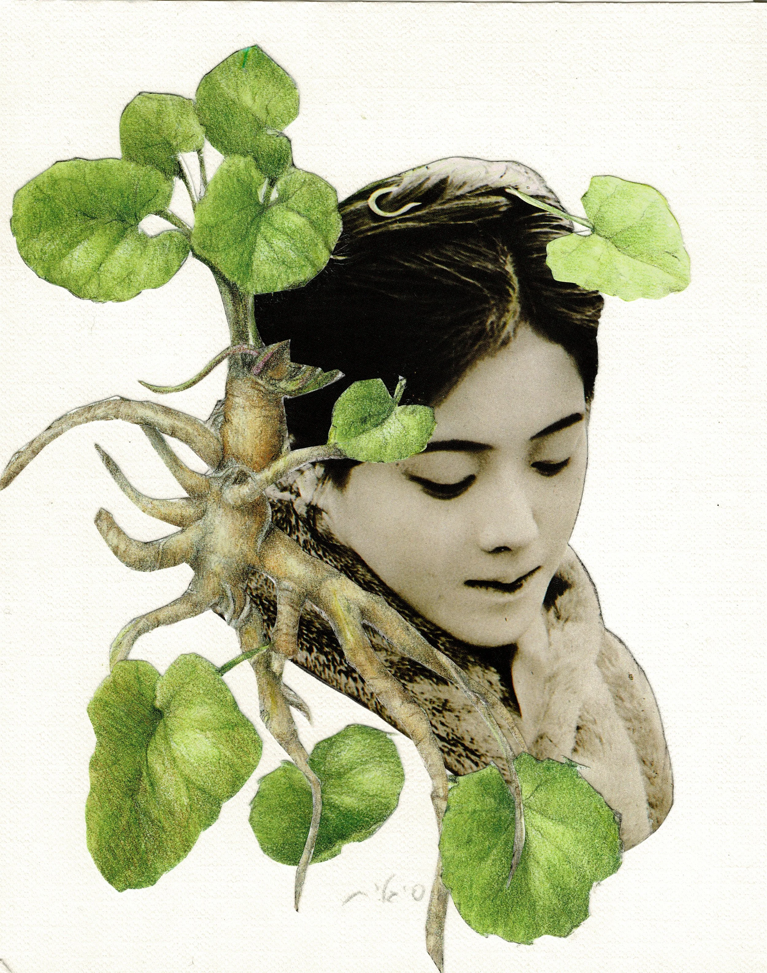 Kazumi • 和美 • Sold