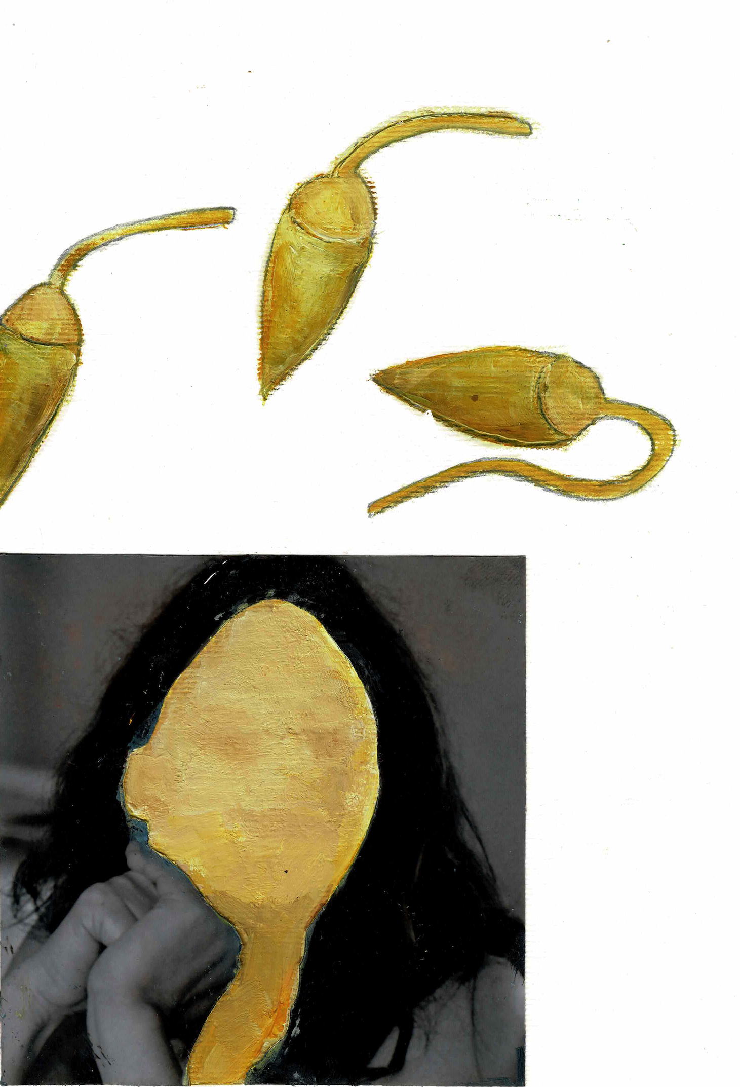 חרטומים 2.png