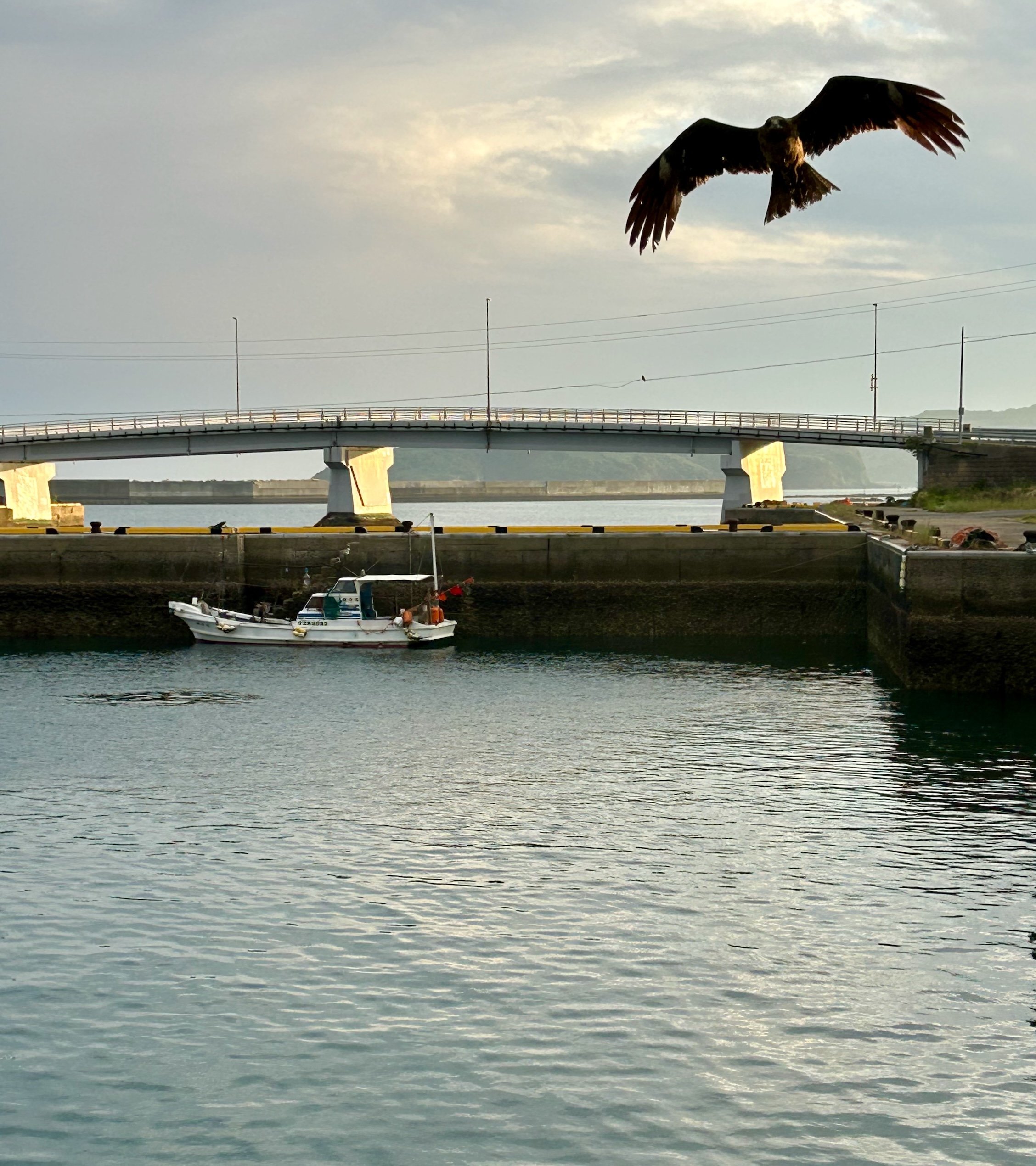 IMG_0544.jpeg
