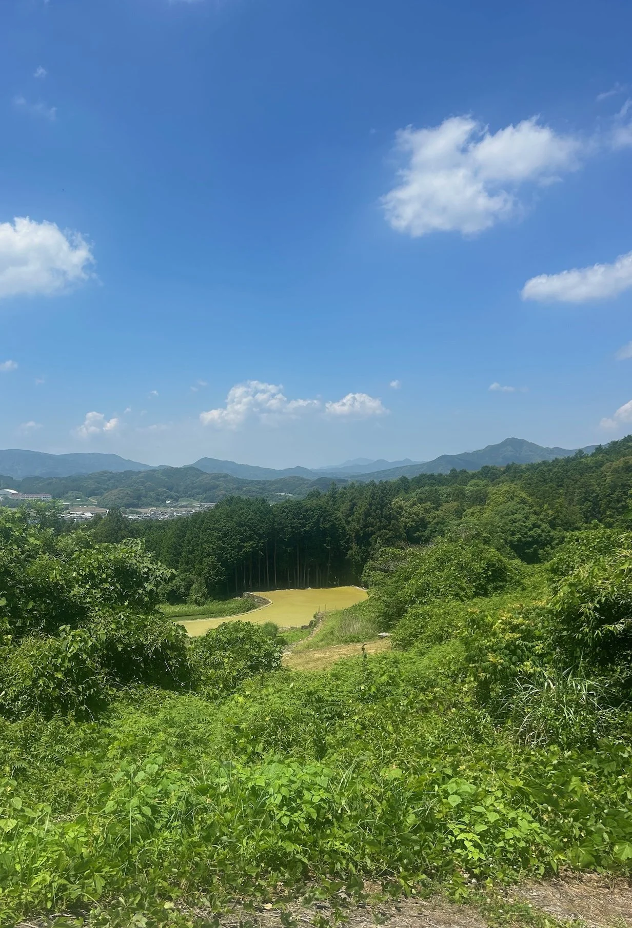 IMG_0881.jpeg