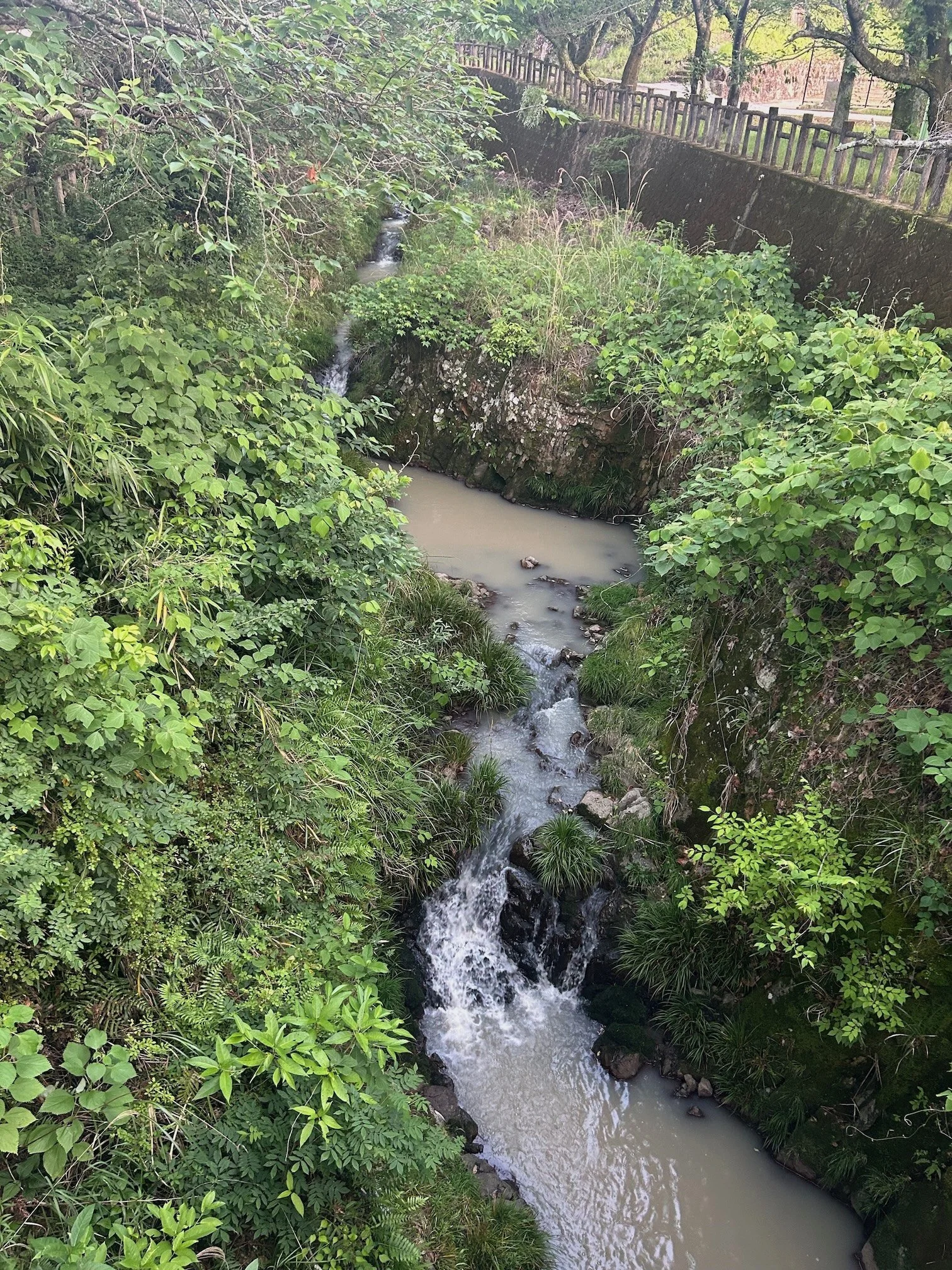 IMG_0905.jpeg