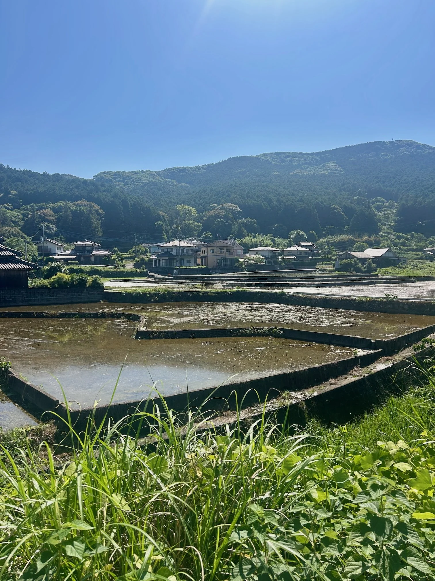 IMG_0926.jpeg