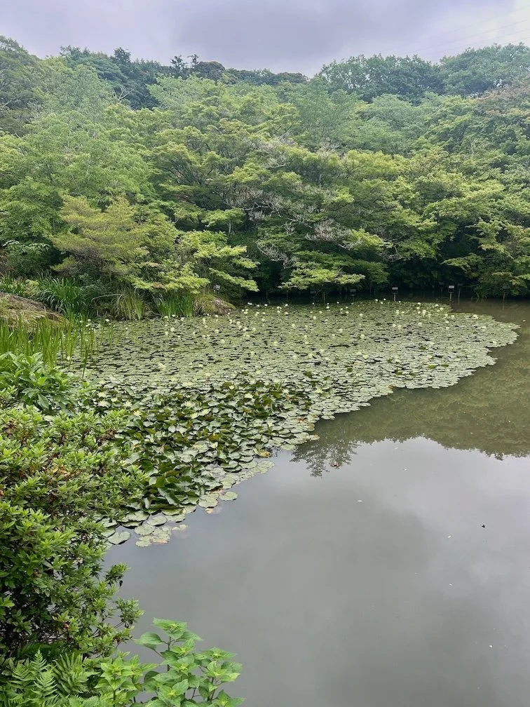 IMG_0816.jpeg