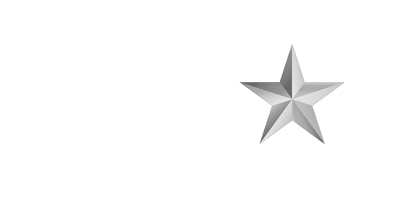 houston-chronicle.png