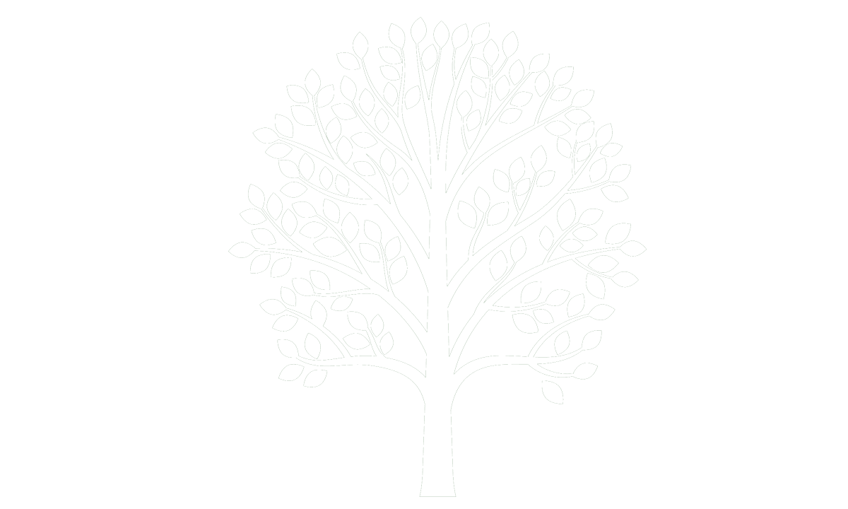 mature-tree.png