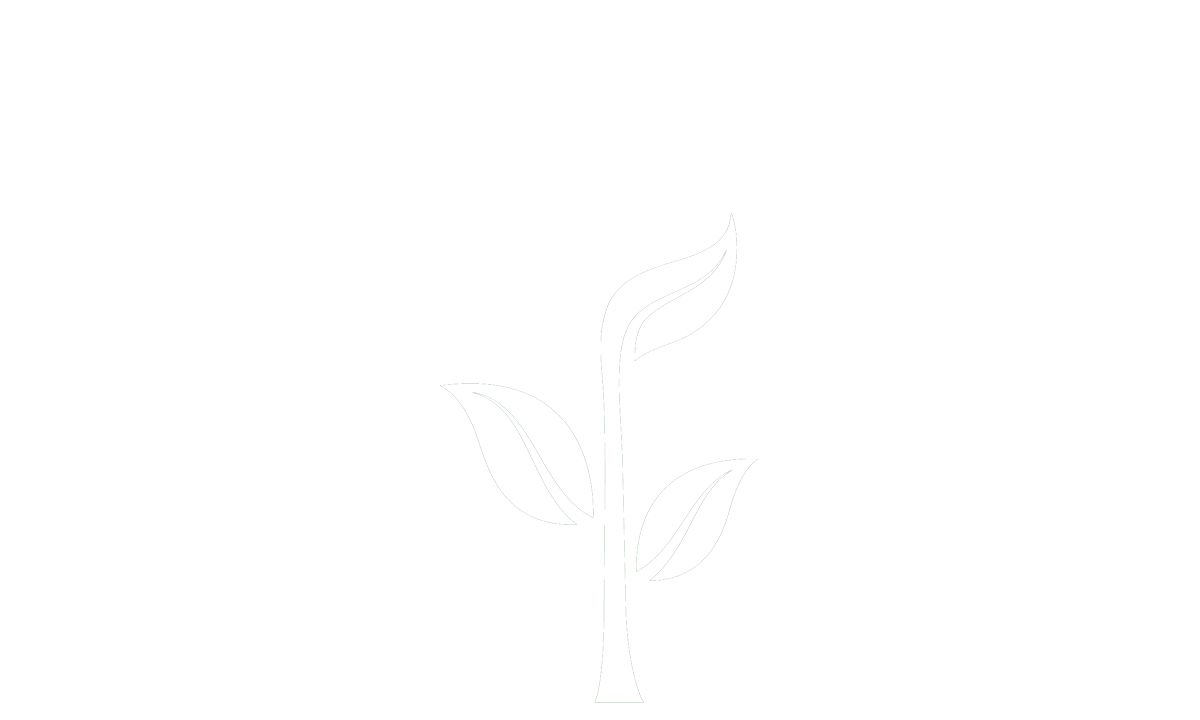 sapling.png