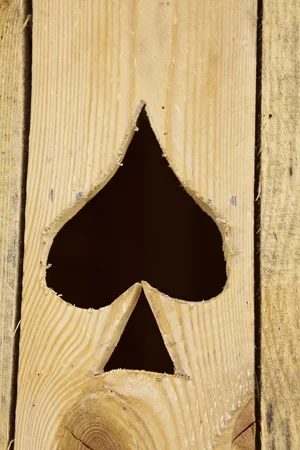Spades_WEBSITE.jpg