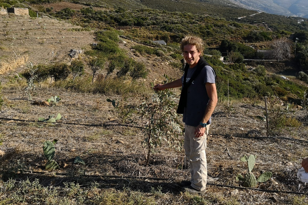 MaziFarm_Greece_02-1024x683.png