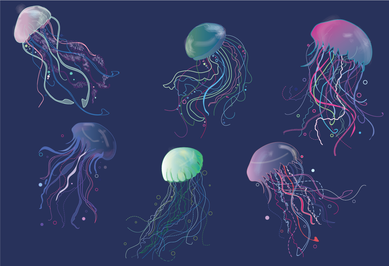 jellyfish-01.png