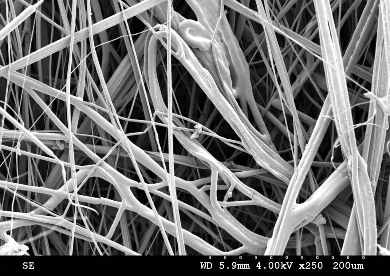  Inspired by textiles, I have explored ‘Textile Tectonics,’&nbsp;an art form in which textiles are transformed into 3D structures.  In order to understand the inherent micro-structure of textiles, samples were coated in gold and placed under a scanni