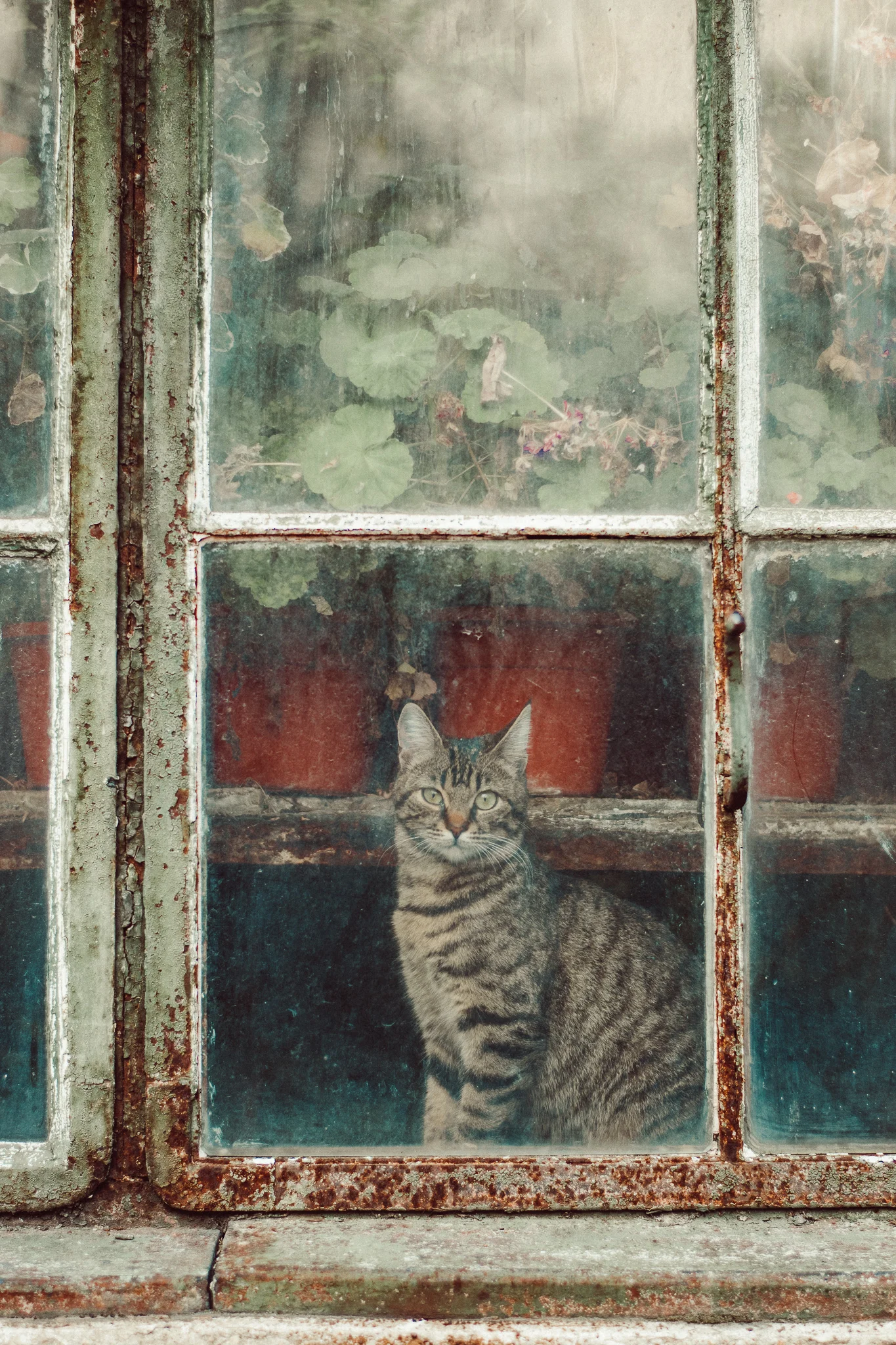 Bucharest Botanical Gardens