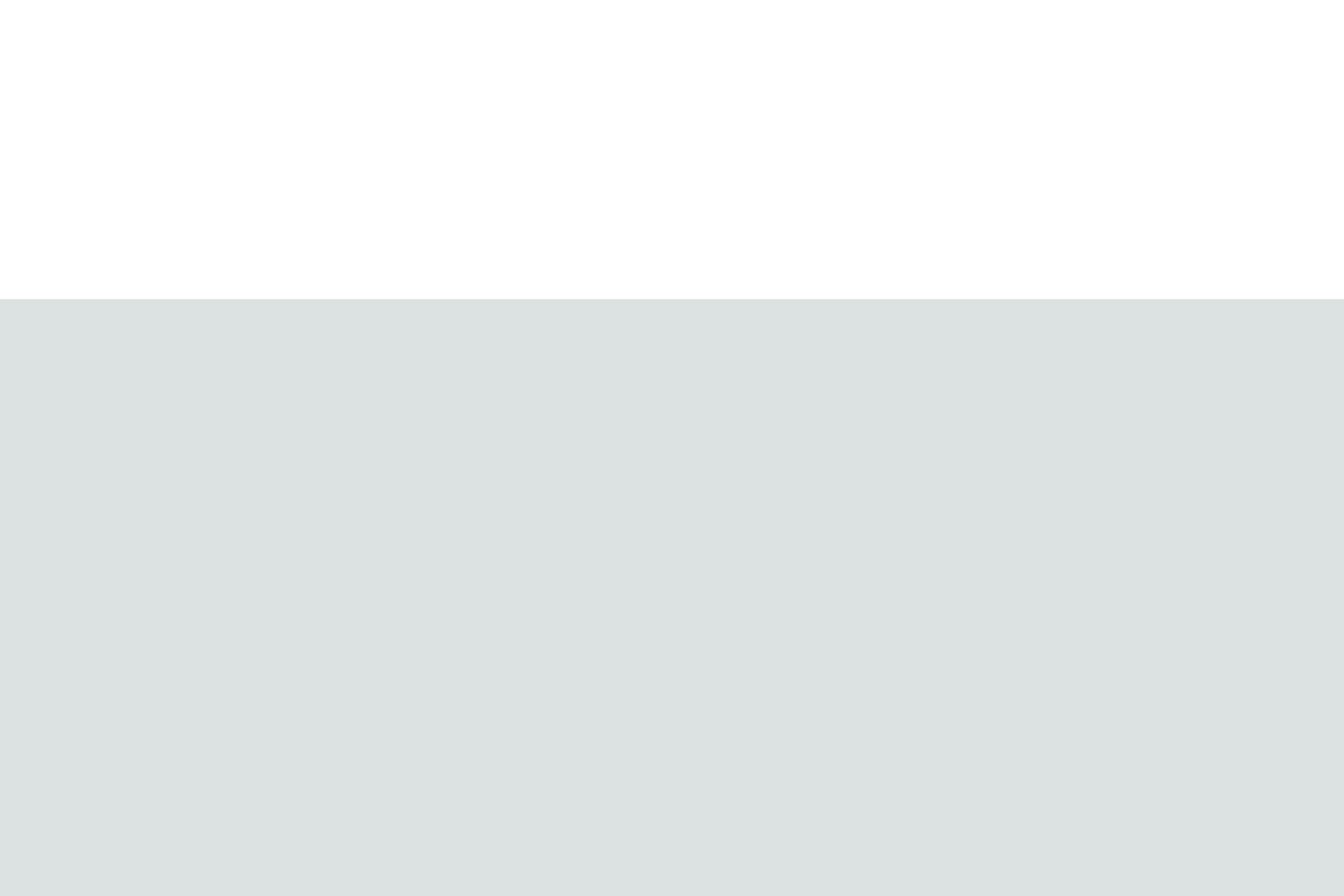 background.png