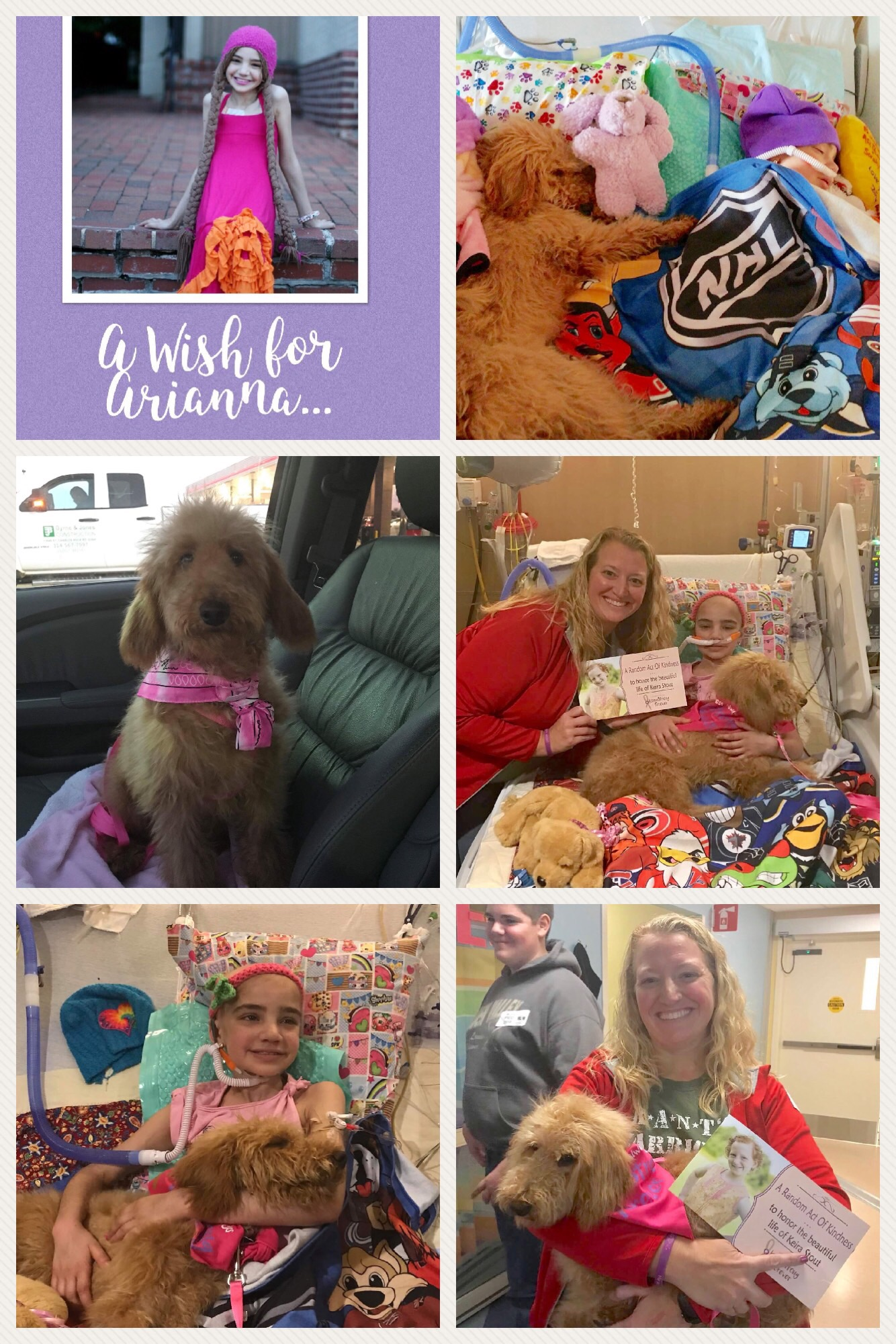Ari wish day pics.png