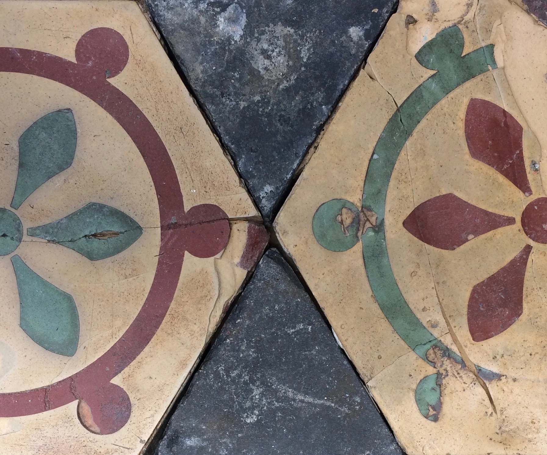 Our Beth | Central Park NYC (USA)