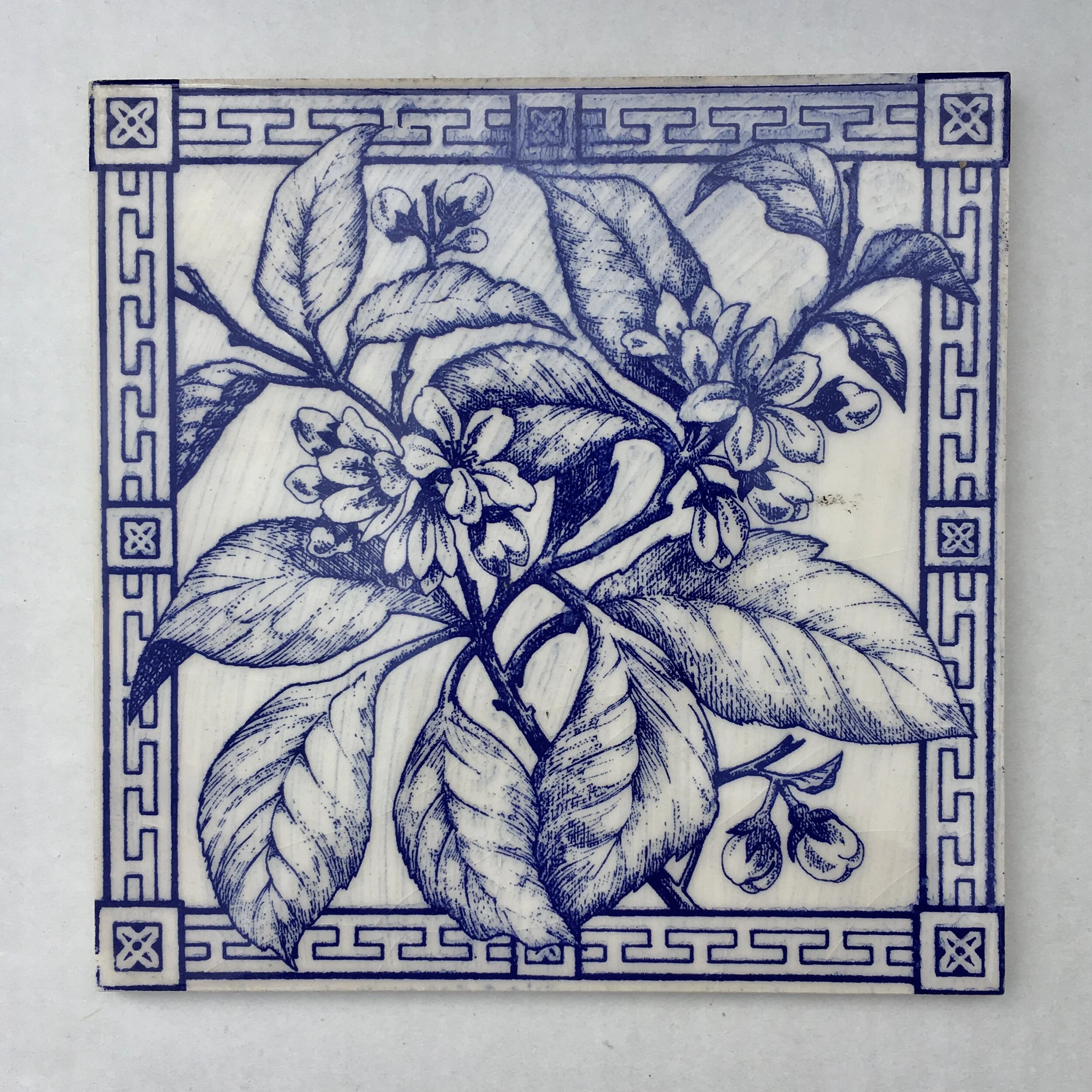 Flowering Cherry (Harebell Blue).jpeg