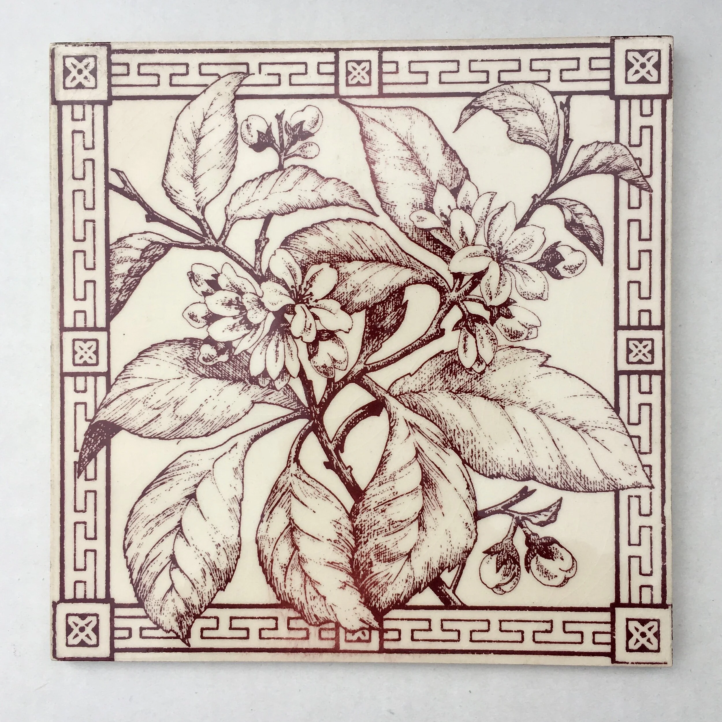 Flowering Cherry (Terracotta).jpeg