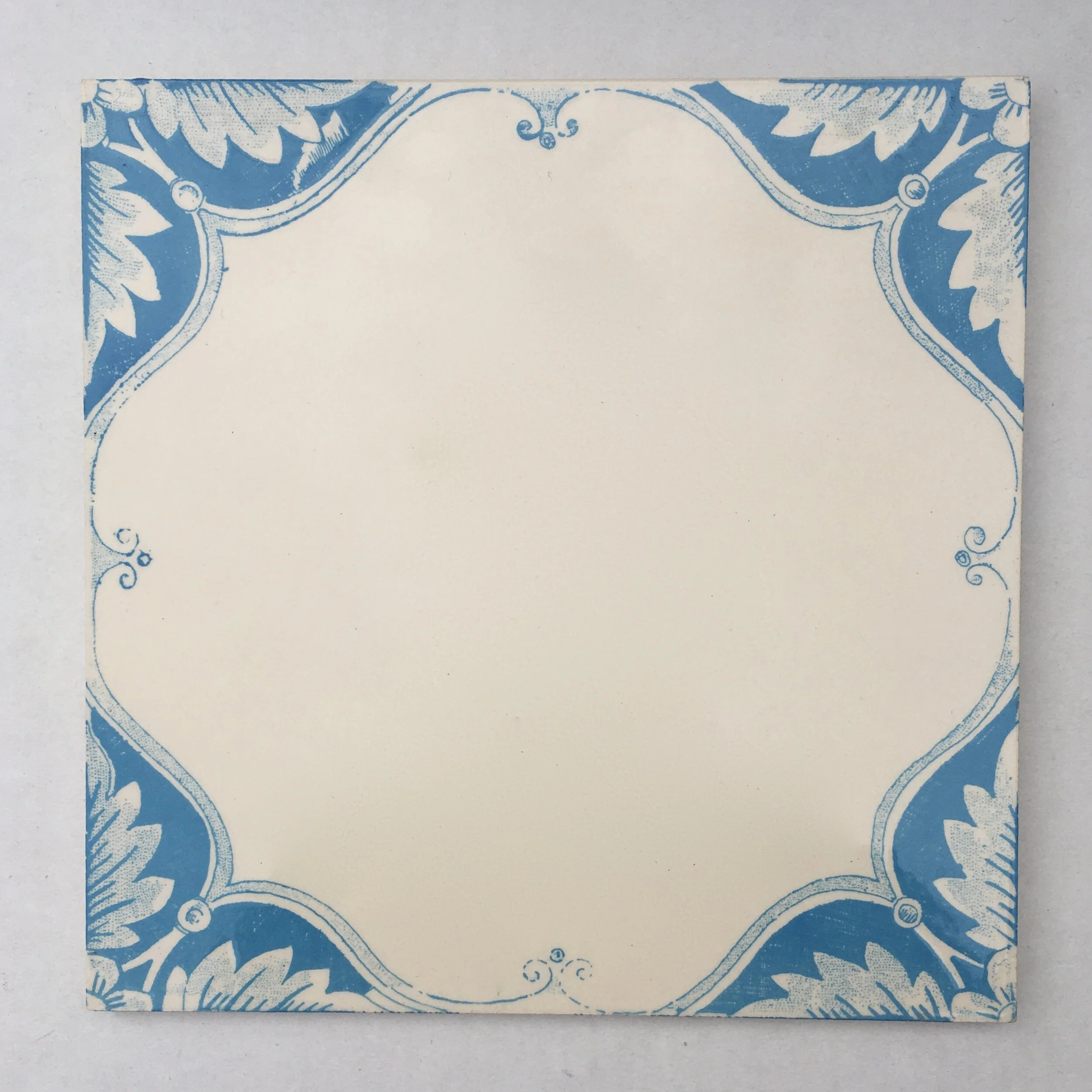 Tulip Border (Cornflower Blue).jpeg