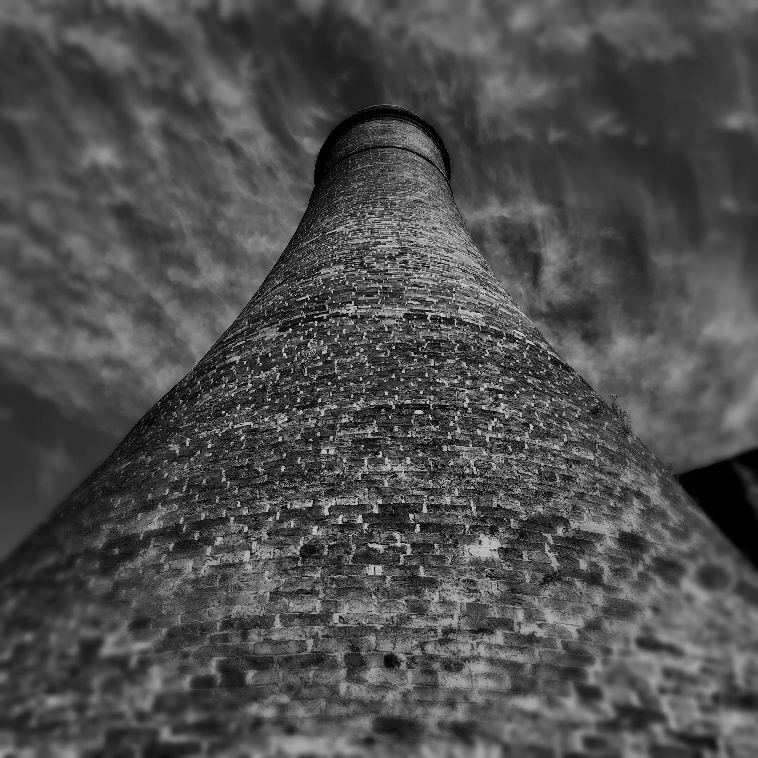 IMG_8532 07.18.16.JPG