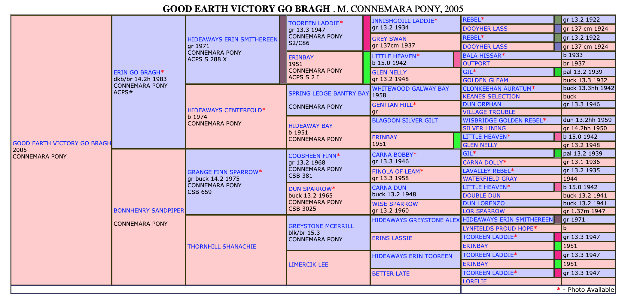 Good Earth Victory Go Bragh 2005 by Hideaway's Erin Go Bragh out of Bonnhenry Sandpiper x Grange Finn Sparrow.png