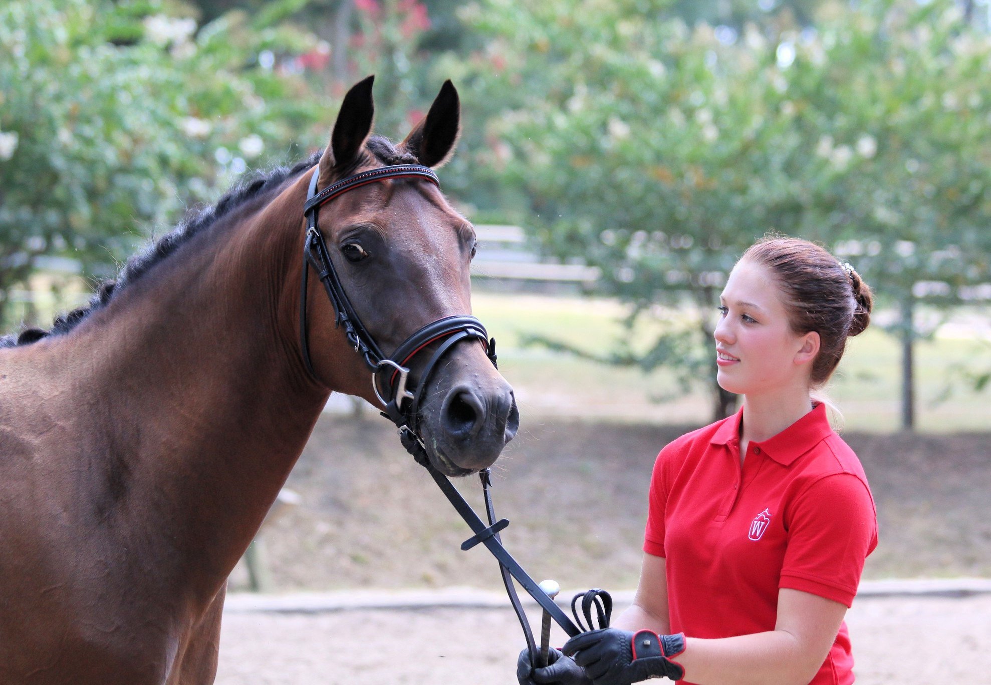 Die Chanel (Der Feine Lord x Chantre B) 2015 at the foal show - at that time with a colt by Popeye.jpg