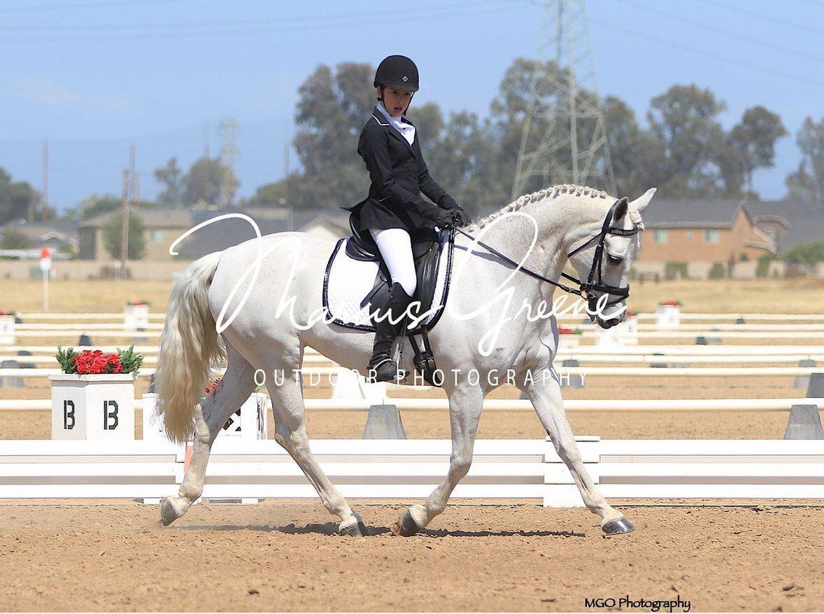 Century Hill's Taylor Maide (Maplehurst Michael MacDaire x *Eastlands Glendearg) at the Fresno County Horse Park Novice Three Day, April 2018 - dressage with Nikki Gai.jpg