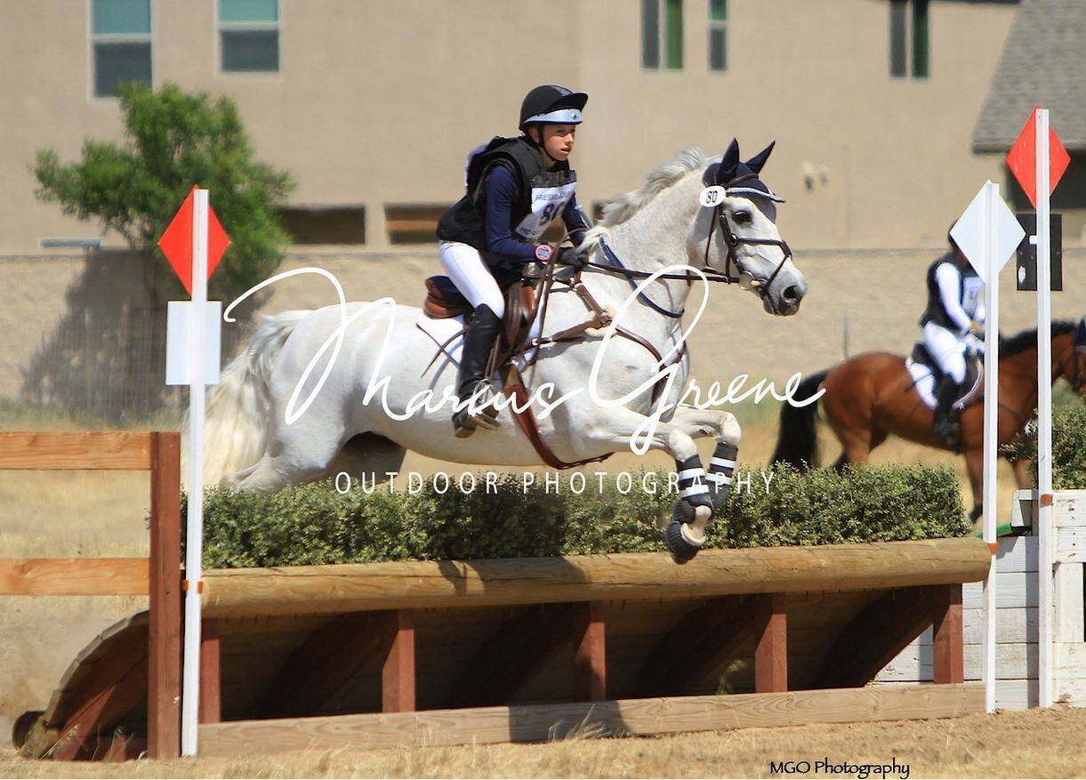 Century Hill's Taylor Maide (Maplehurst Michael MacDaire x *Eastlands Glendearg) at the Fresno County Horse Park Novice Three Day, April 2018 - steeplechase.jpg