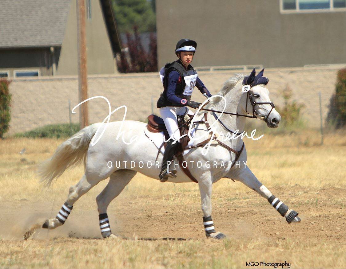 Century Hill's Taylor Maide (Maplehurst Michael MacDaire x *Eastlands Glendearg) at the Fresno County Horse Park Novice Three Day, April 2018.jpg