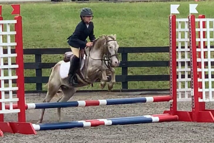 Doodlebug show jumping6.jpeg