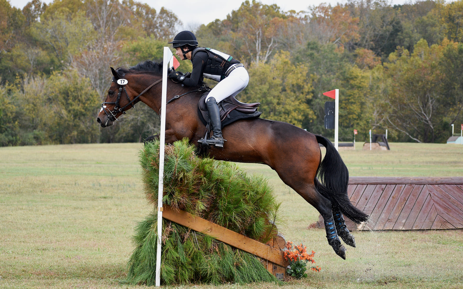 Cooper xc jump w Devon 11:5:20.jpg