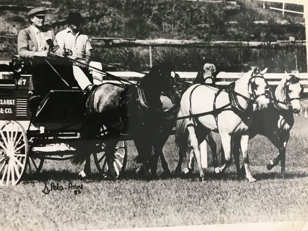 Dr Barton Clarke with Donny Ross and his much loved four in hand of Glenormiston bred ponies.jpg