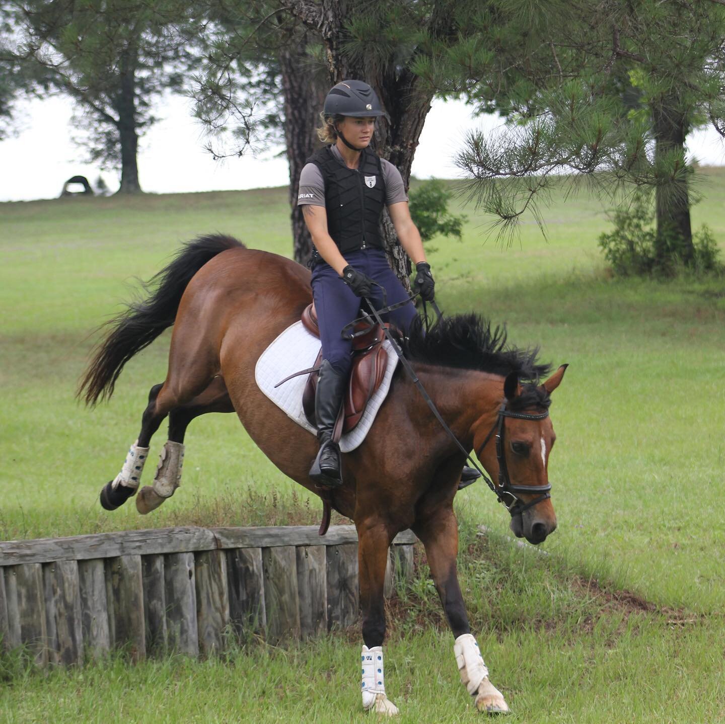 Fiona | Elhanan Equestrian | ISR:Oldenburg | GRP |Eventing | Down Bank | Aiken, SC.jpg