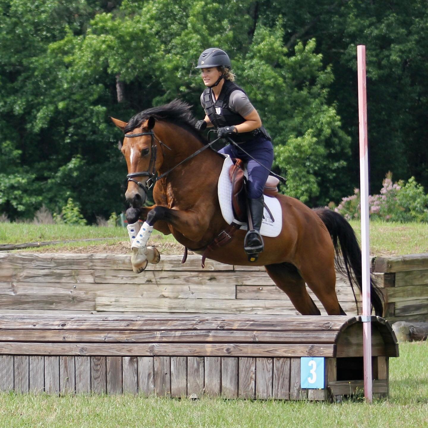 Fiona | Elhanan Equestrian | ISR:Oldenburg | GRP |Eventing | Rolltop | Aiken, SC.jpg