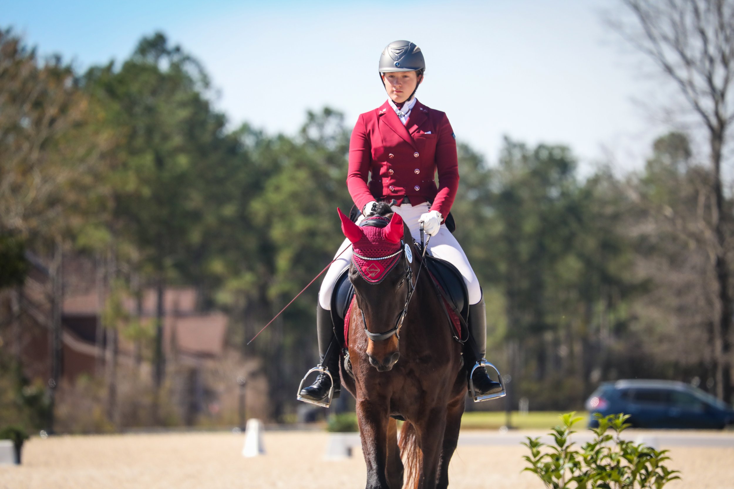 stableview-dressage-march2023-6739.jpg