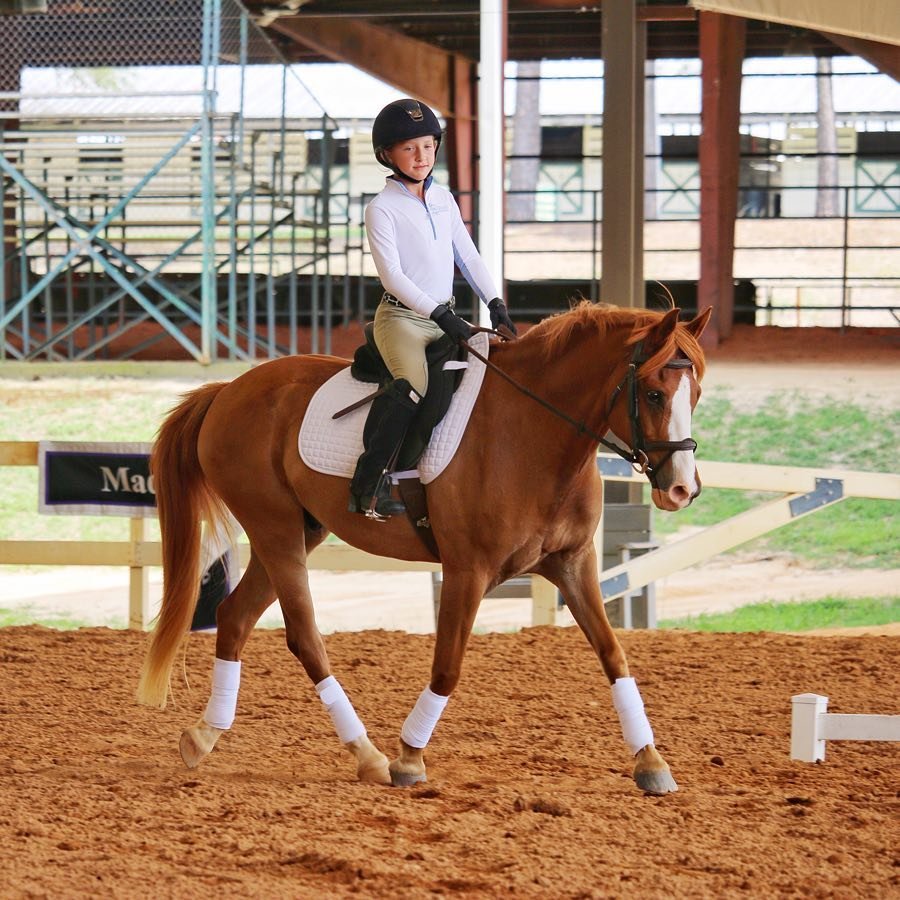 Elhanan Equestrian | Riding Academy |  Horseback Riding Clinics | Dressage | Camden, SC.jpg