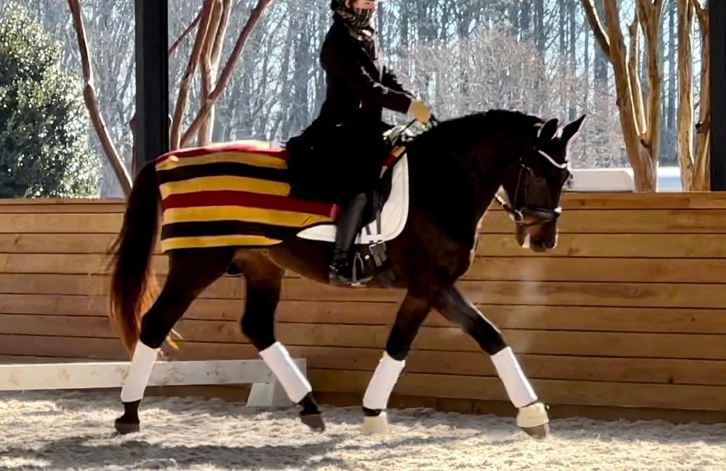 McKenna+%26+Samira+%7C+Elhanan+Equestrian+%7C+USDF+FEI+Youth+Clinic.jpg