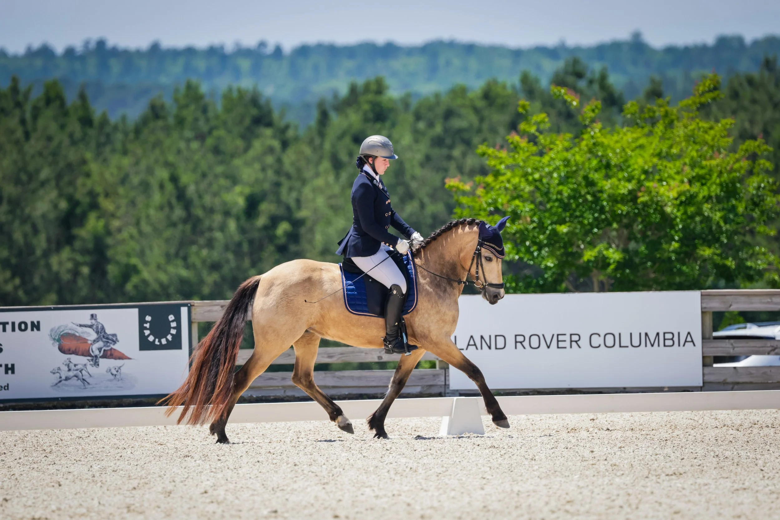 stableview-dressage-may2025-6519.jpg