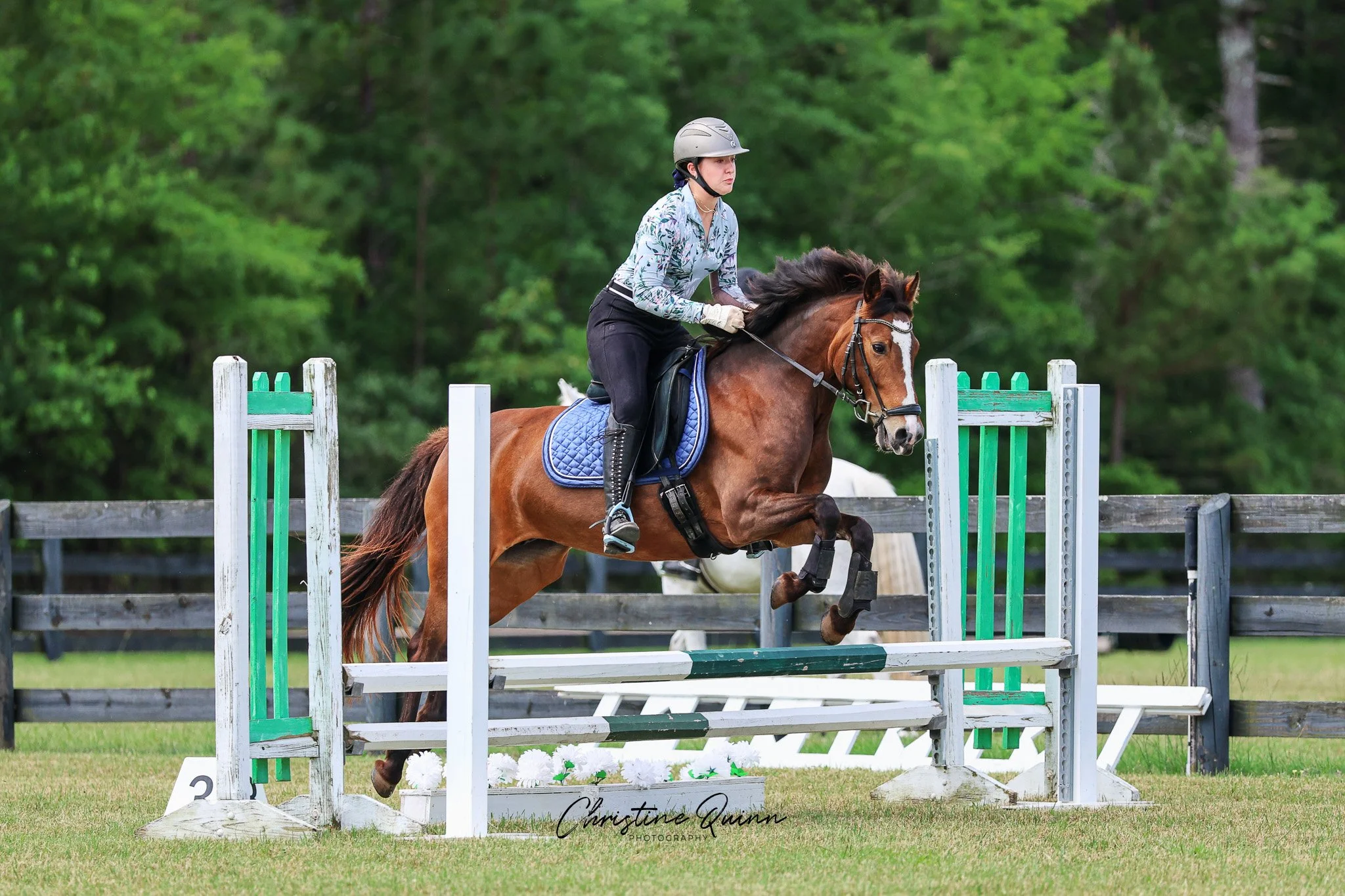 Piper | Jumping | Elhanan Equestrian | Vista | 6.7.25.jpg