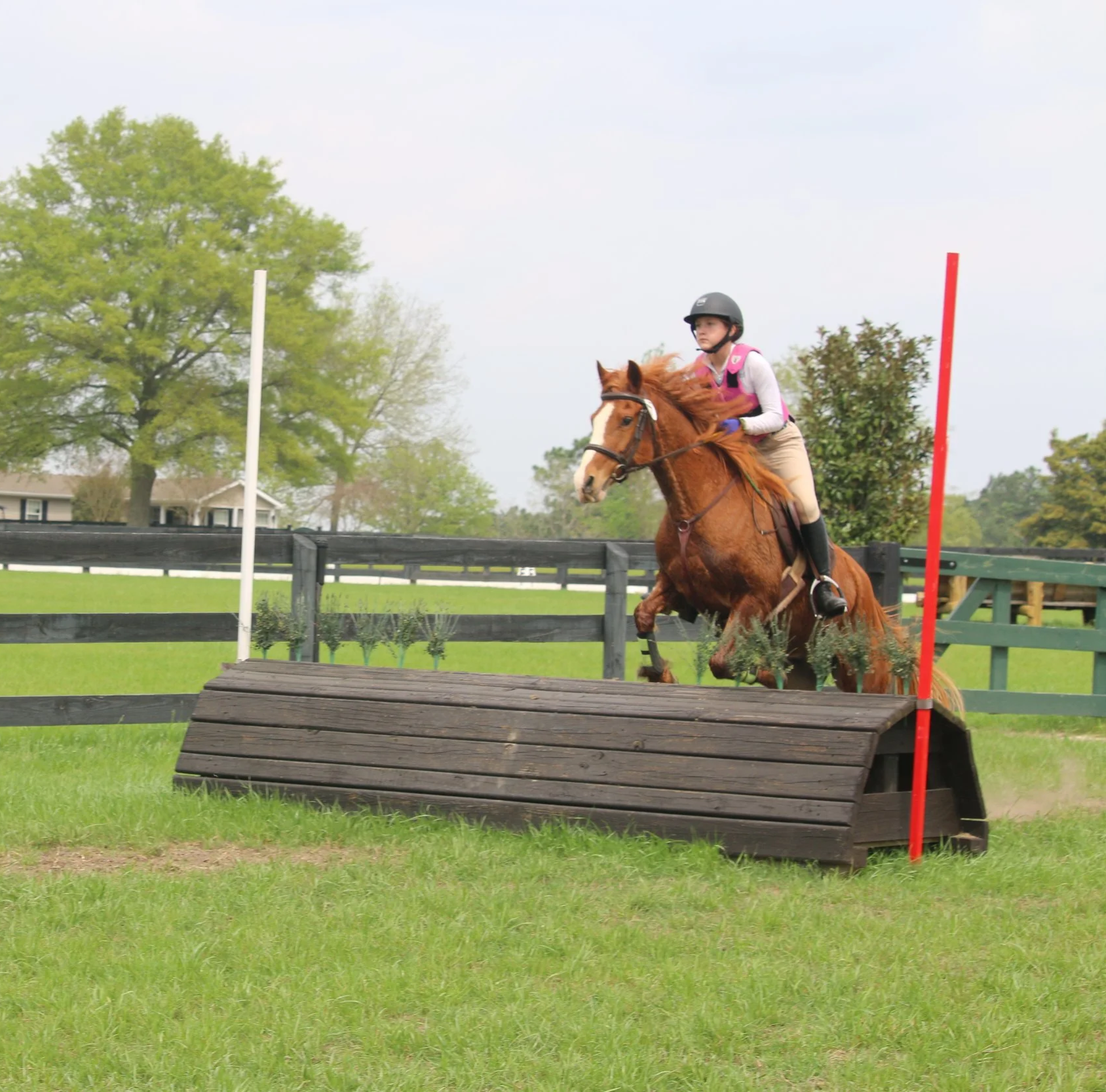 Elhanan+Equestrian+%7C+Sport+Ponies+%7C+Eventing+%7C+The+Vista.png
