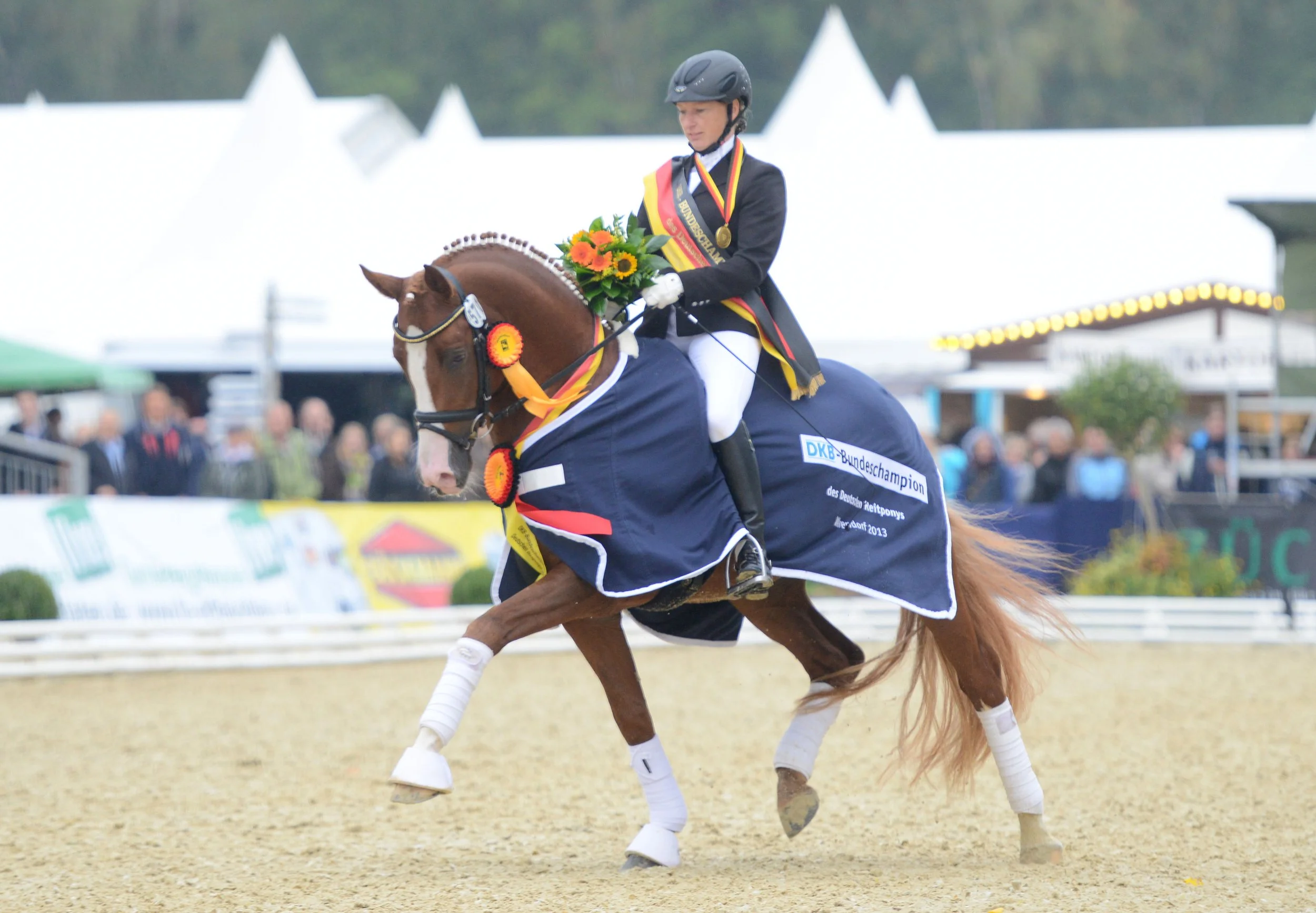 FS Numero Uno 3.jpeg