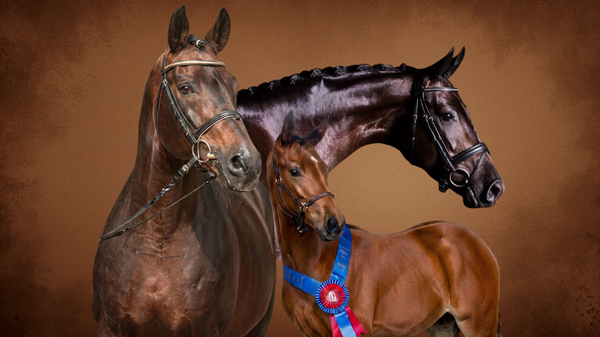 Isolate Horse with Solid Background.png