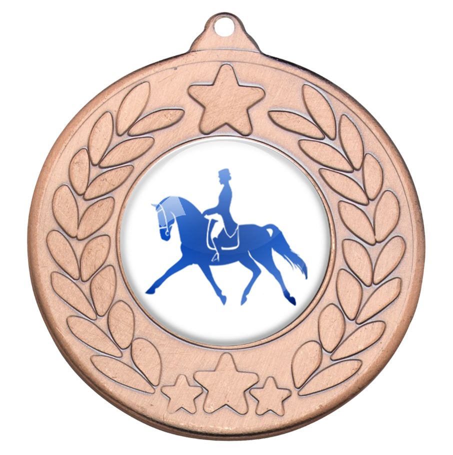 Bronze Medal.png