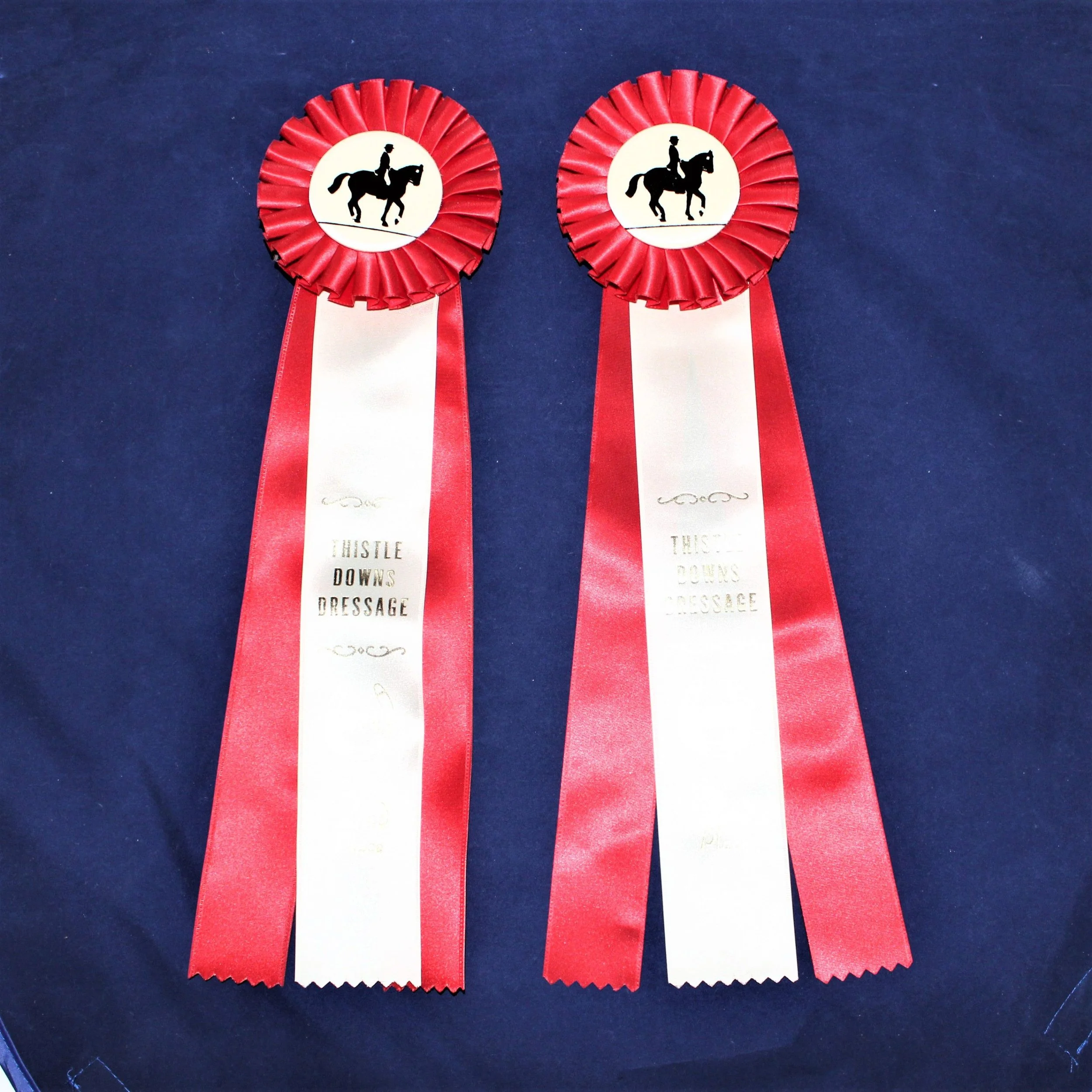 Red Ribbon Sponsor pic.jpeg