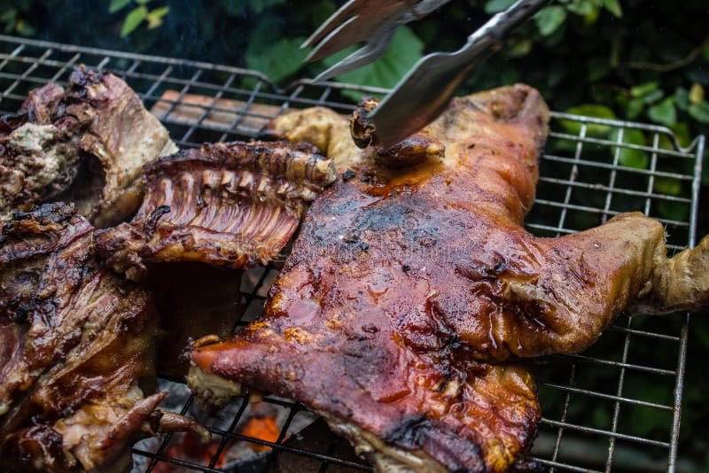 barbecue-suckling-pig-holiday-party-81221168-4152264099.jpeg