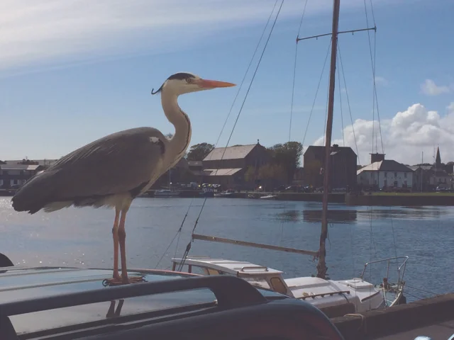 Riverside Walking Tour