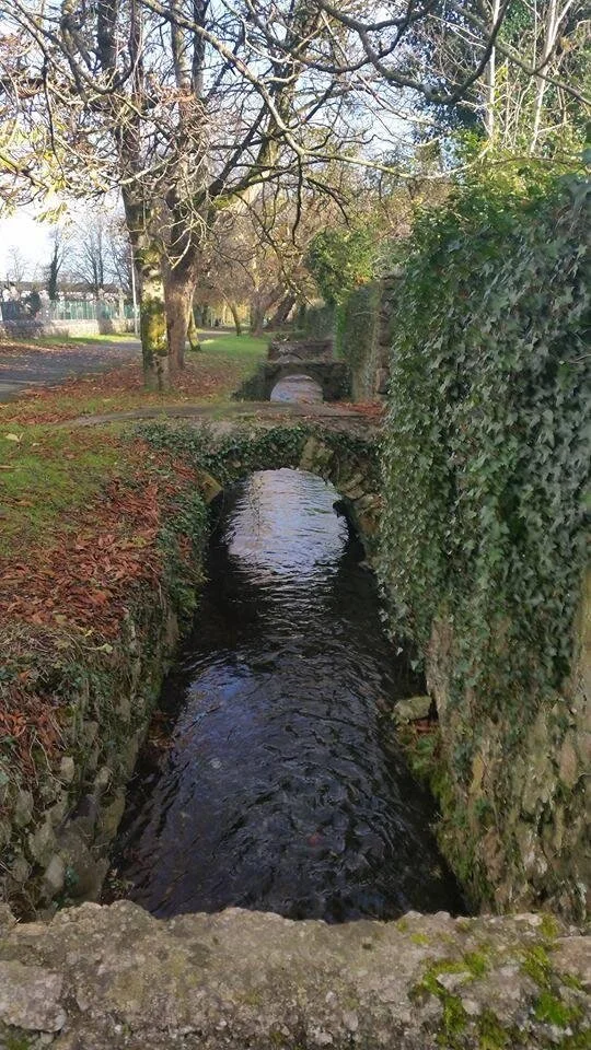 The Walks, Loughrea /Tour