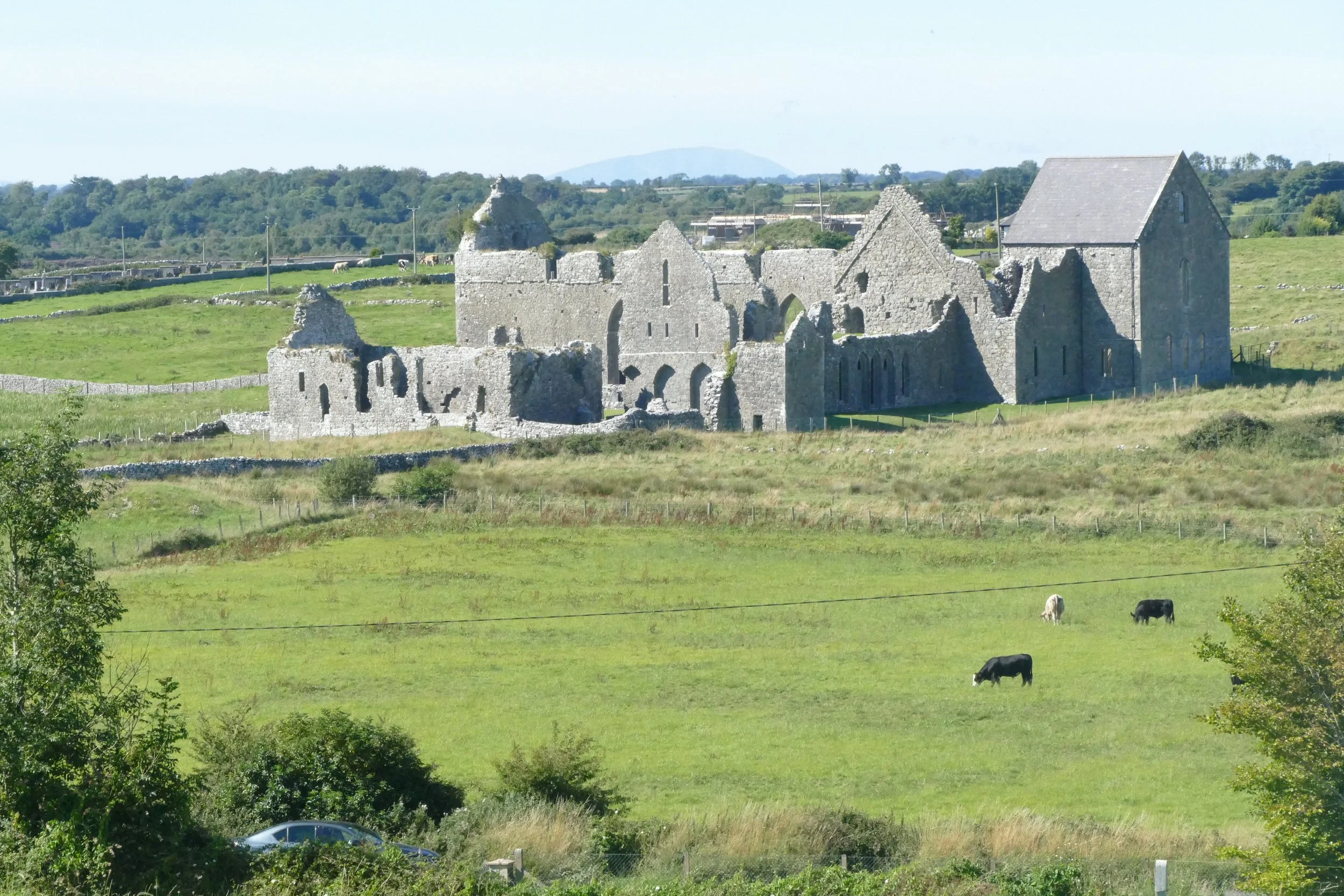 Abbeyknockmoy Cistercian Abbey